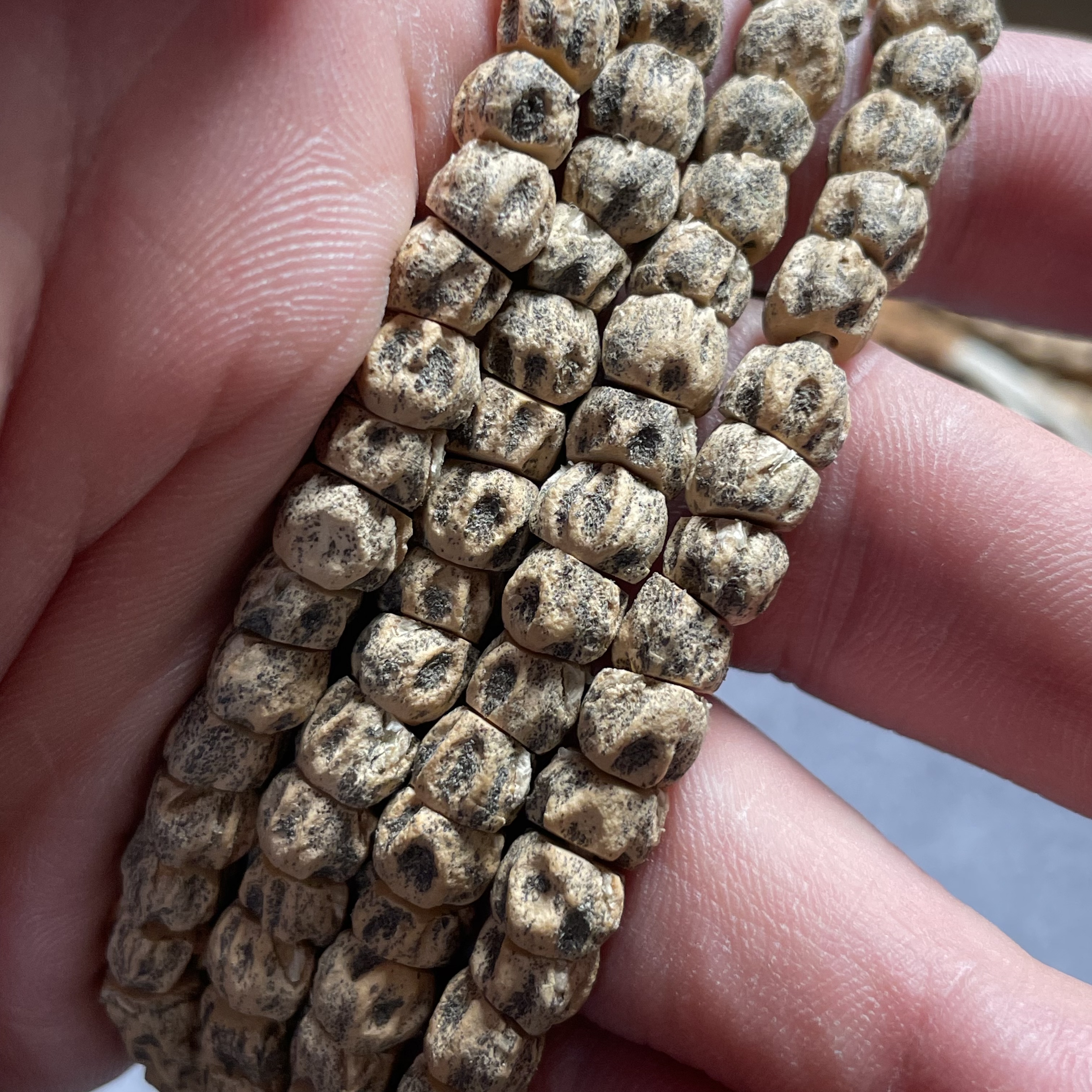 【鬼肠】文玩百香籽柏香籽热振满坑满鬼精工双面鬼脸尸陀林大肠