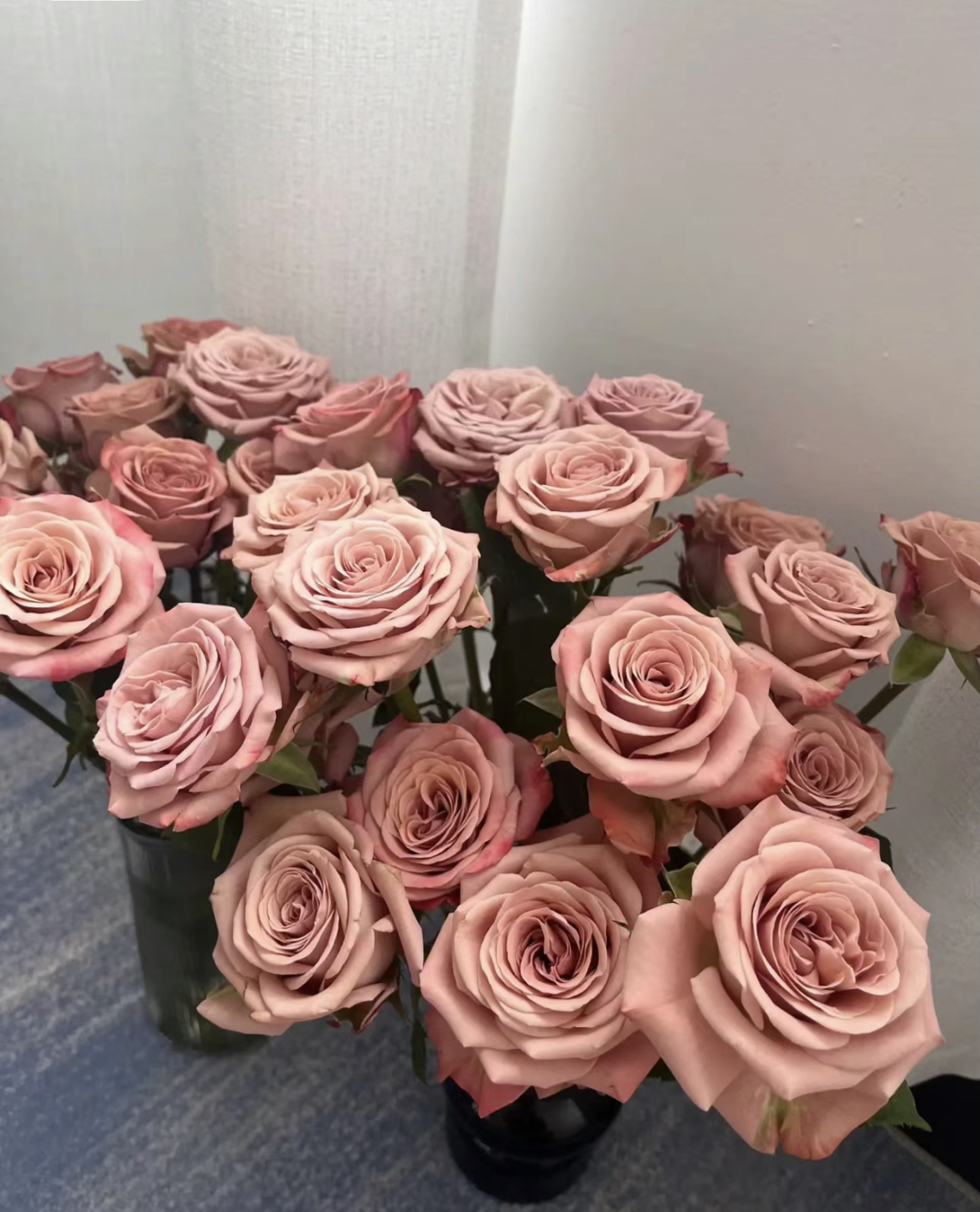 【卡布奇诺】 云南基地直发玫瑰鲜切花花材家庭商务室内花艺插花