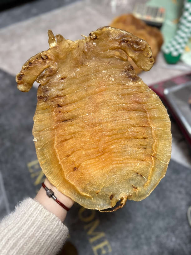 大耳母250克1头包邮到家