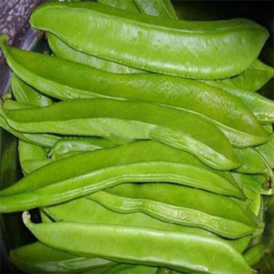 刀豆种种子爬藤白刀豆种子红刀豆种子洋刀豆角高产大刀豆野刀板