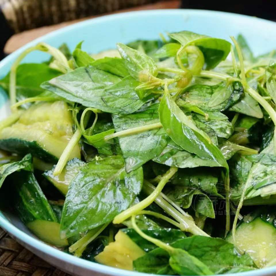 河南叶荆芥种子罗勒佐料香料荆芥菜籽蔬菜籽线荠四棱杆蒿假苏