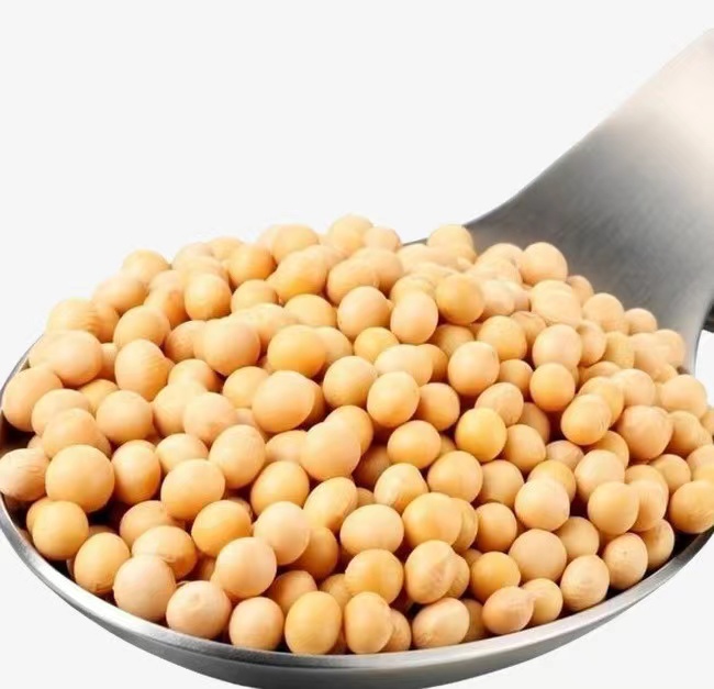 25年东北黄豆五斤装