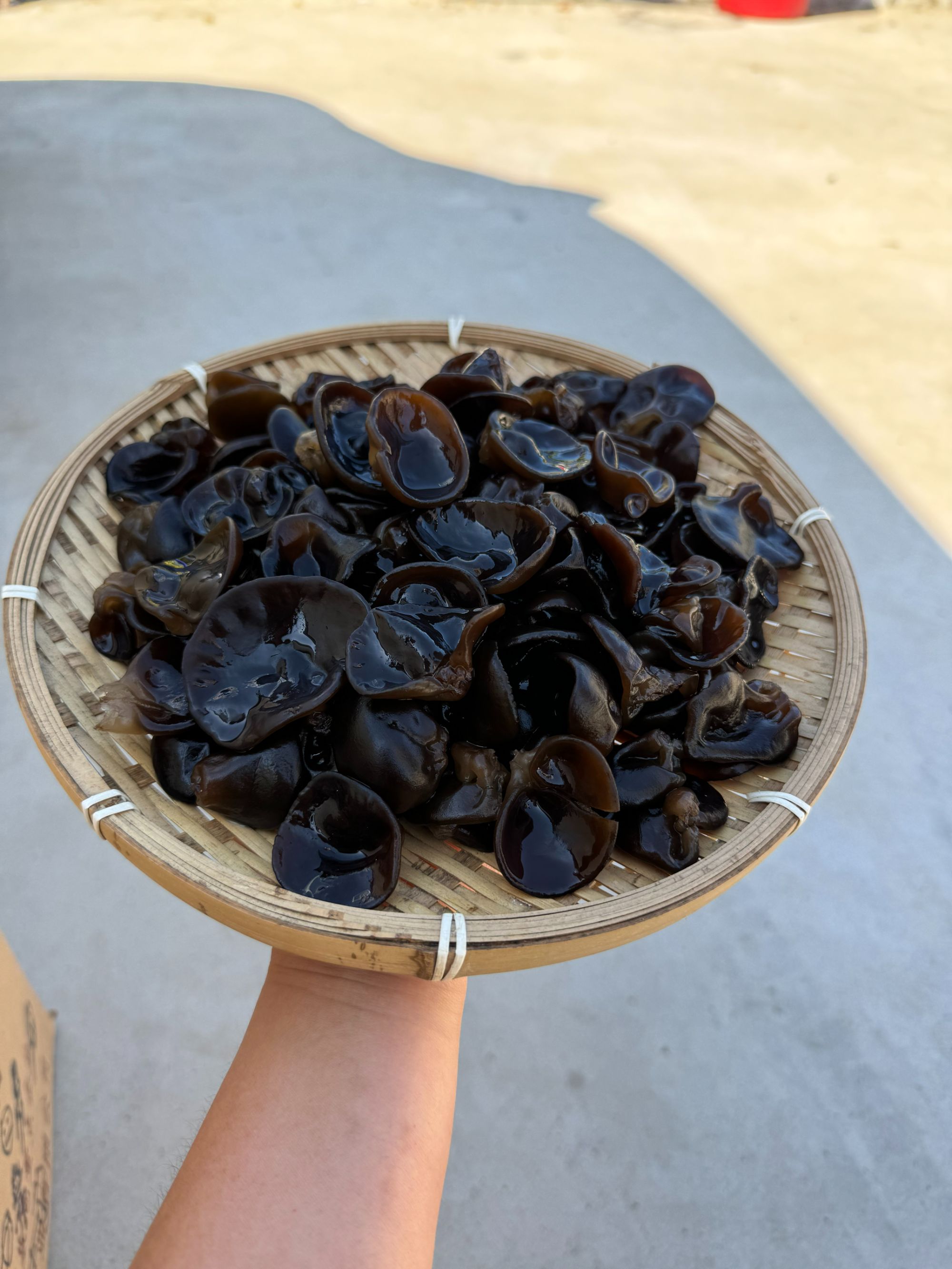 东北黑木耳500g头茬春耳