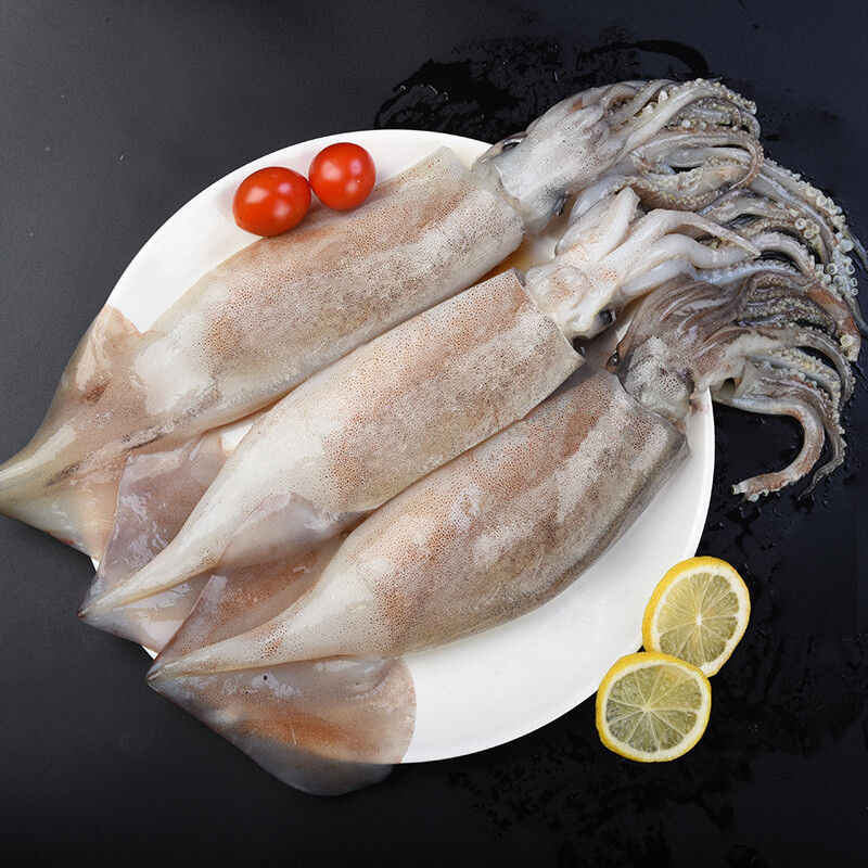 海捕整条大鱿鱼5斤/份 每份3-4条 顺丰冷链