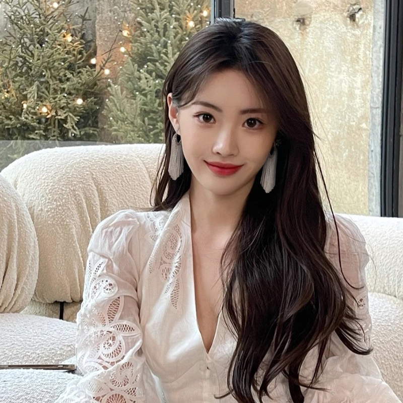 铜合金耳饰 气质长款流苏爆款小众设计感高级感耳钉女耳饰
