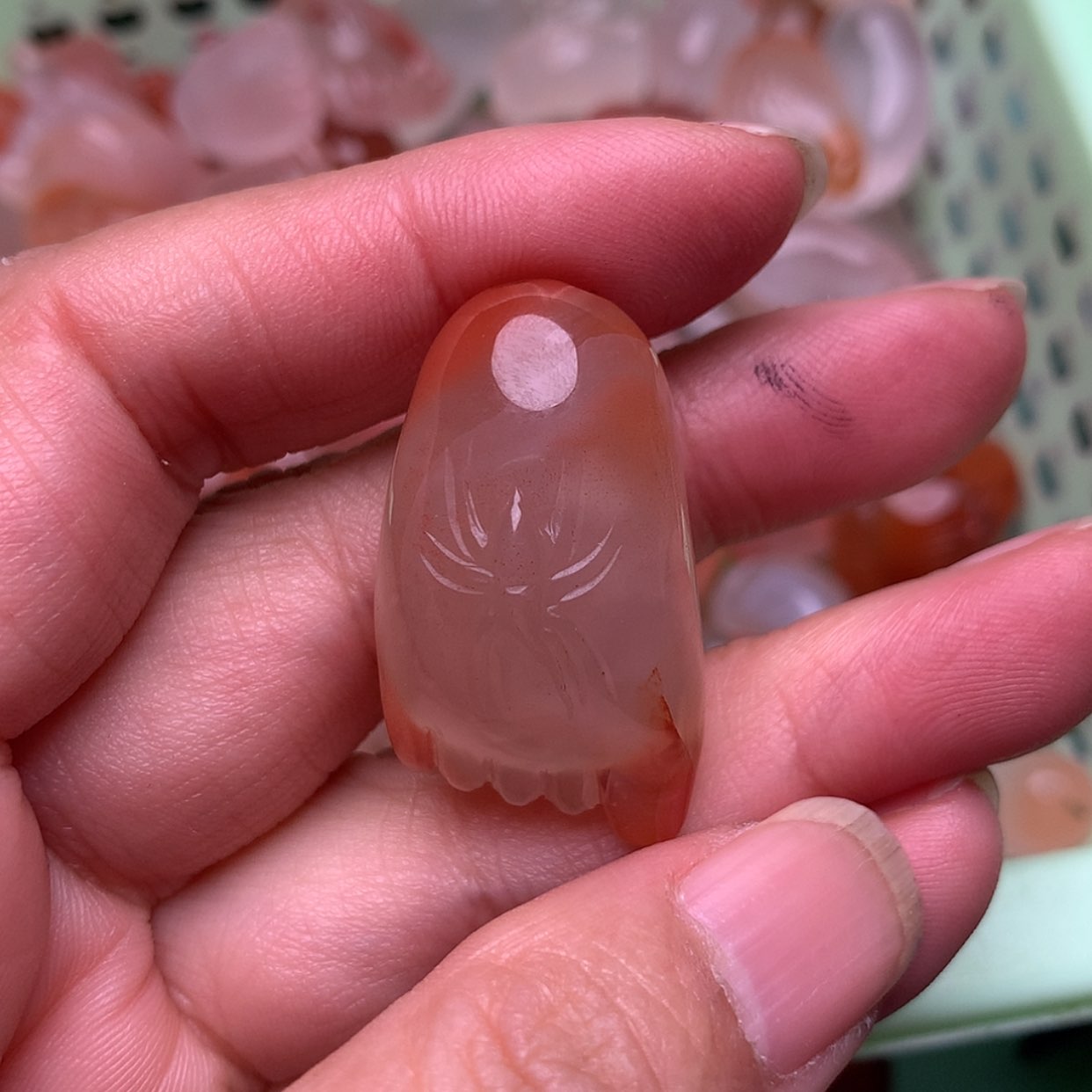 【闪购商品】南红玛瑙珠宝奇石未镶嵌小*丽