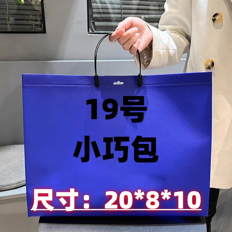 <19号>潮流气质百搭单肩小巧包