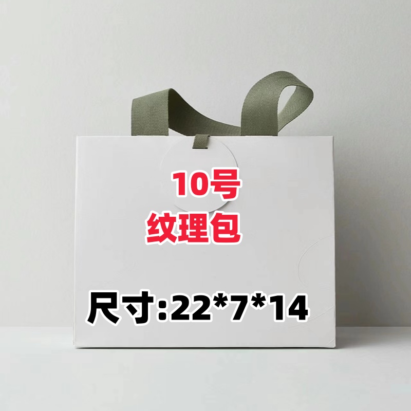 <10号>潮流网红休闲纹理包