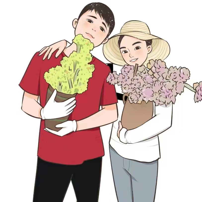 清松园艺多肉植物运费