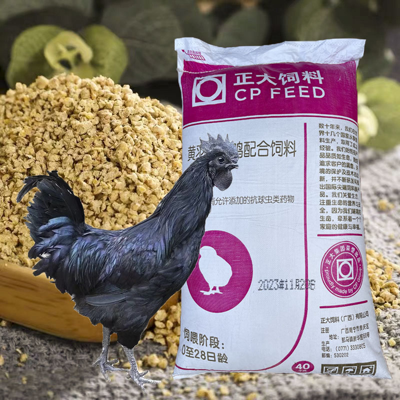 五黑鸡养殖饲料直播专属