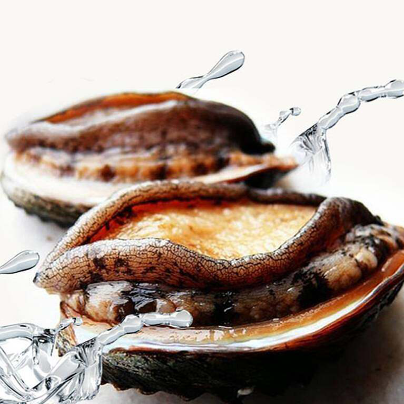 7头规格的东山岛鲍鱼7-7.5cm到手共12+2只海鲜水产活鲍速冻带礼盒