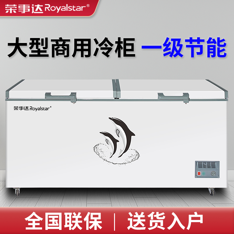 荣事达 冰柜大型商用冷冻大容量一级节能家用卧式全冷柜