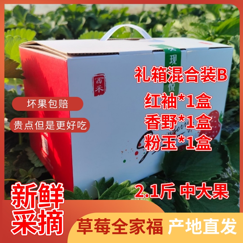 西禾草莓礼箱混合装B  红袖/香野/粉玉  2.1斤 中大果 新鲜