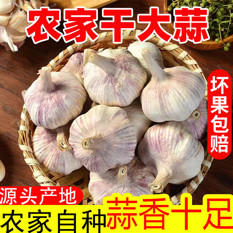 (农家土蒜）十足干蒜5斤紫白皮杞县特产干大蒜头1斤2斤3斤9斤可种