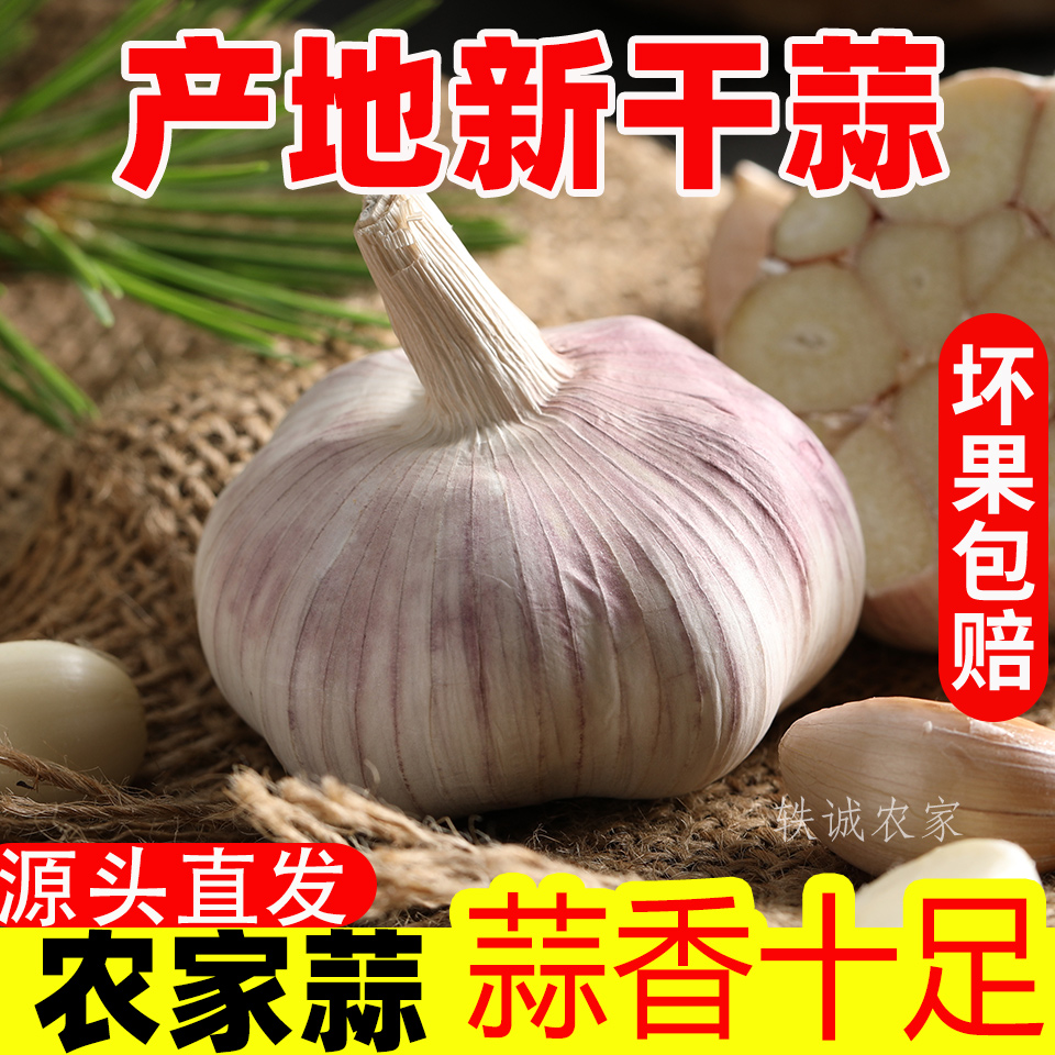 （产地直发）2025年干大蒜5斤紫白皮杞县特产自种3斤干大蒜头蔬菜