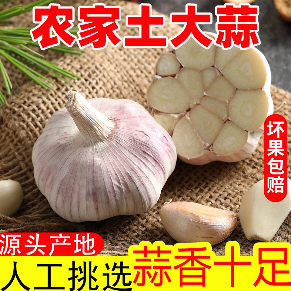 【便宜了】干蒜5斤农家新干蒜紫白皮大蒜头干大蒜1斤2斤3斤包邮
