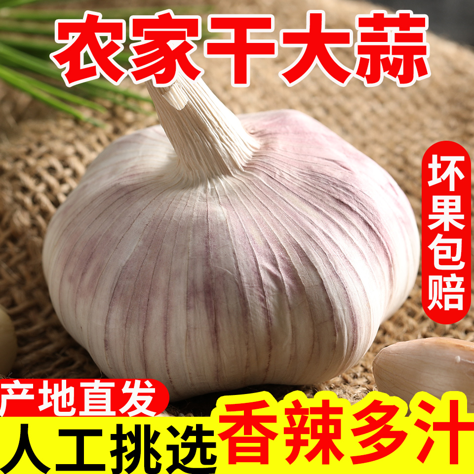 （降价了）河南农家干蒜5斤紫白皮杞县特产干大蒜头1斤2斤3斤可腌制