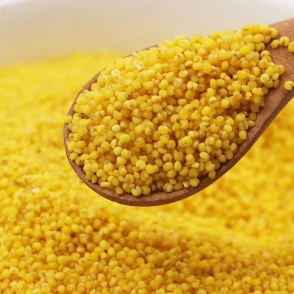 沂蒙山山地黄小米 新米 月子米三斤装五斤装