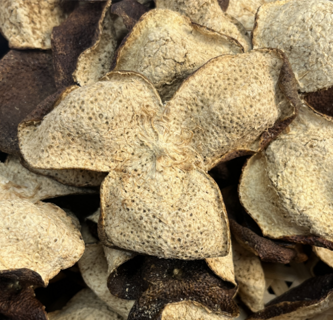 2010年新会梅江小柑皮