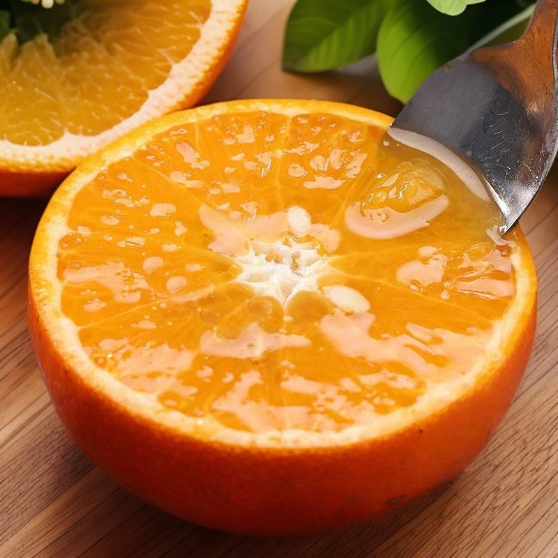 A云南哀牢山高山沃柑香甜橘子当季新鲜水果鲜甜多汁整箱5-10斤