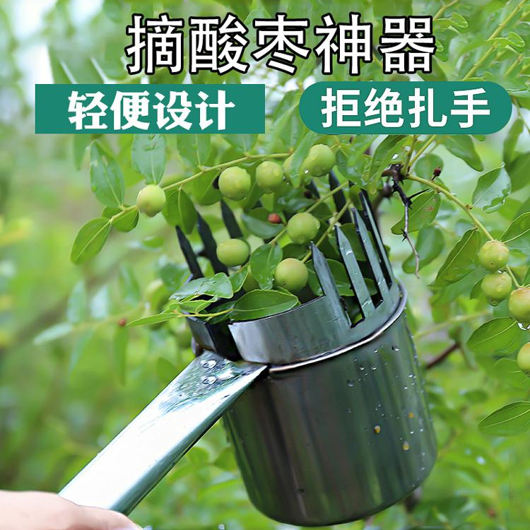 加厚2024新款酸枣不锈钢摘果器采果山枣柏树神器小枣工具扎手