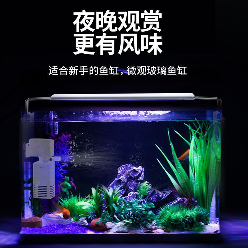 小型水族箱热弯玻璃鱼缸客厅桌面家用斗鱼金鱼水草造景长方形生态