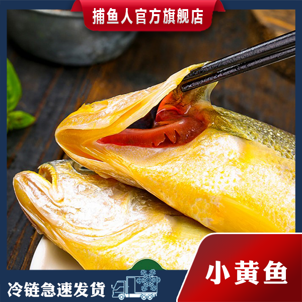 【官方自营】捕鱼人渔场舟山野生东海新鲜小黄鱼深海捕捞鲜活速冻