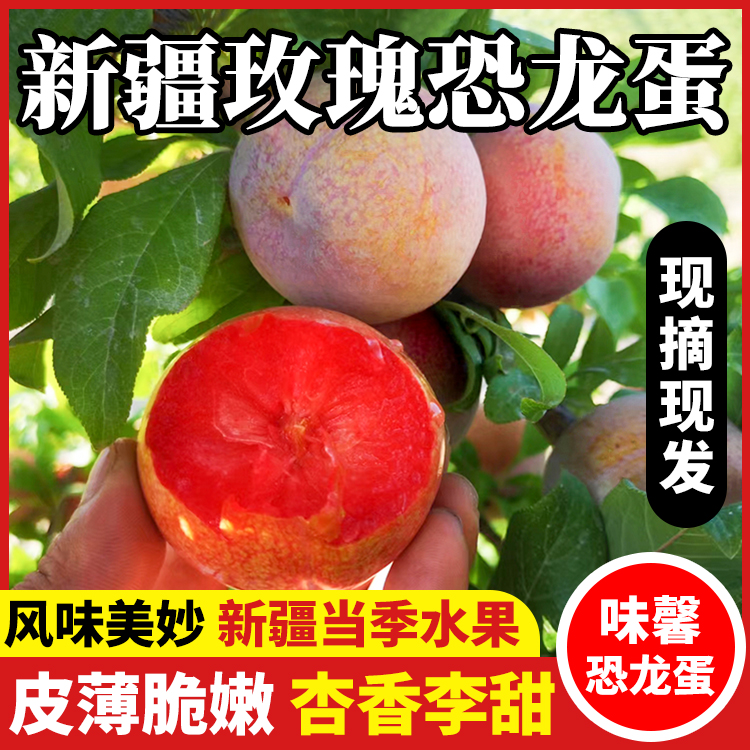 新疆味馨恐龙蛋风味皇后净重3斤香甜多汁当季新鲜水果杏李