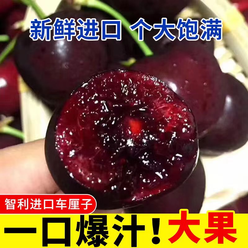 5J精品智利车厘子250克一盒