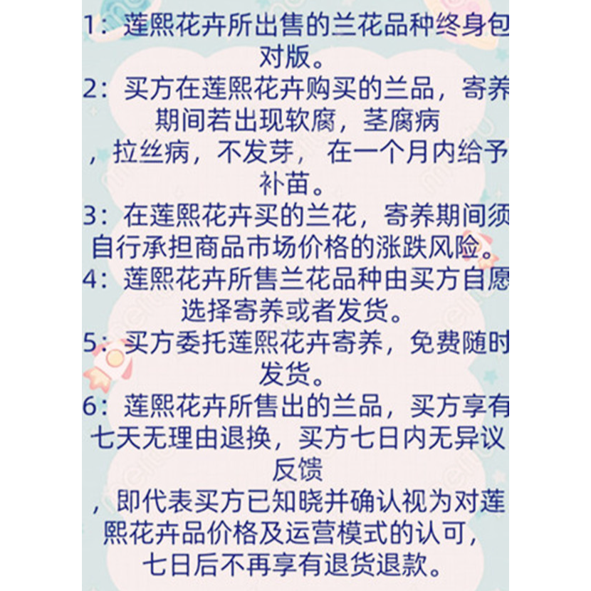 直播兰花一组一成交