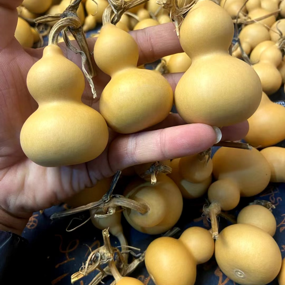 天然小美葫芦通货8个专属链接 4-7厘米 