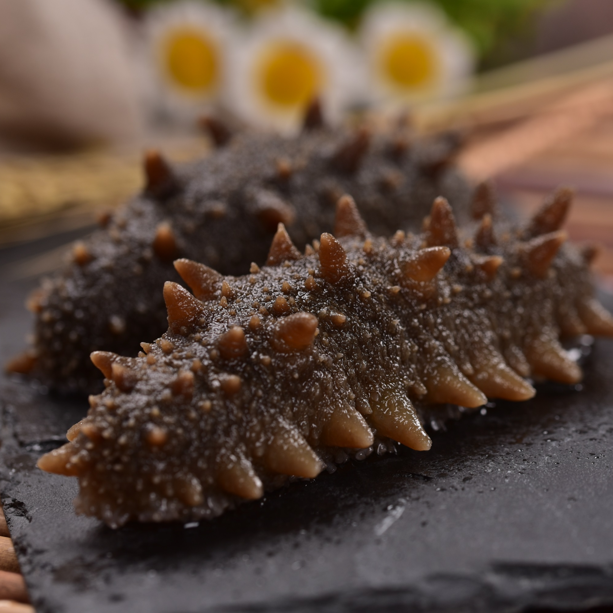 大连鲜食海参A8~10头 500g