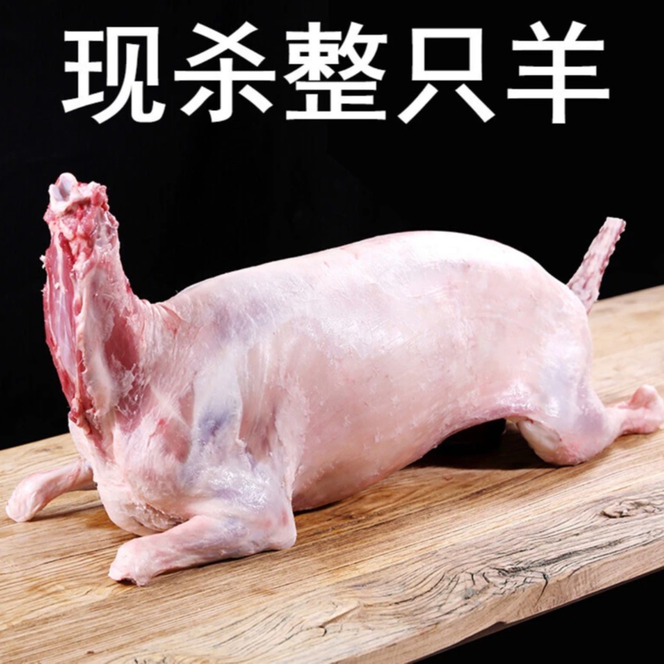 蒙城本地羊肉 新鲜现杀