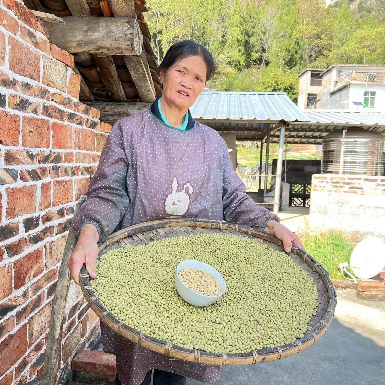 2025年新品广西河池农家特产青皮黄豆糯小米小种山茶油顺丰包邮