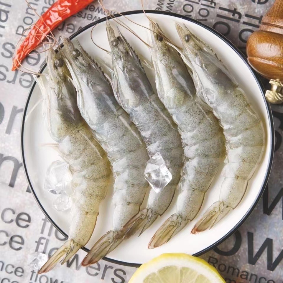   新鲜冷冻海洋大虾 