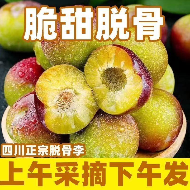 金秋晚熟脆李】正宗四川青脆李子茵红李空心脱骨李土新鲜当季水果