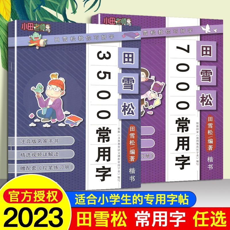 田雪松写字课小学生一年级二年级练字帖三四五六字年级临摹练字帖