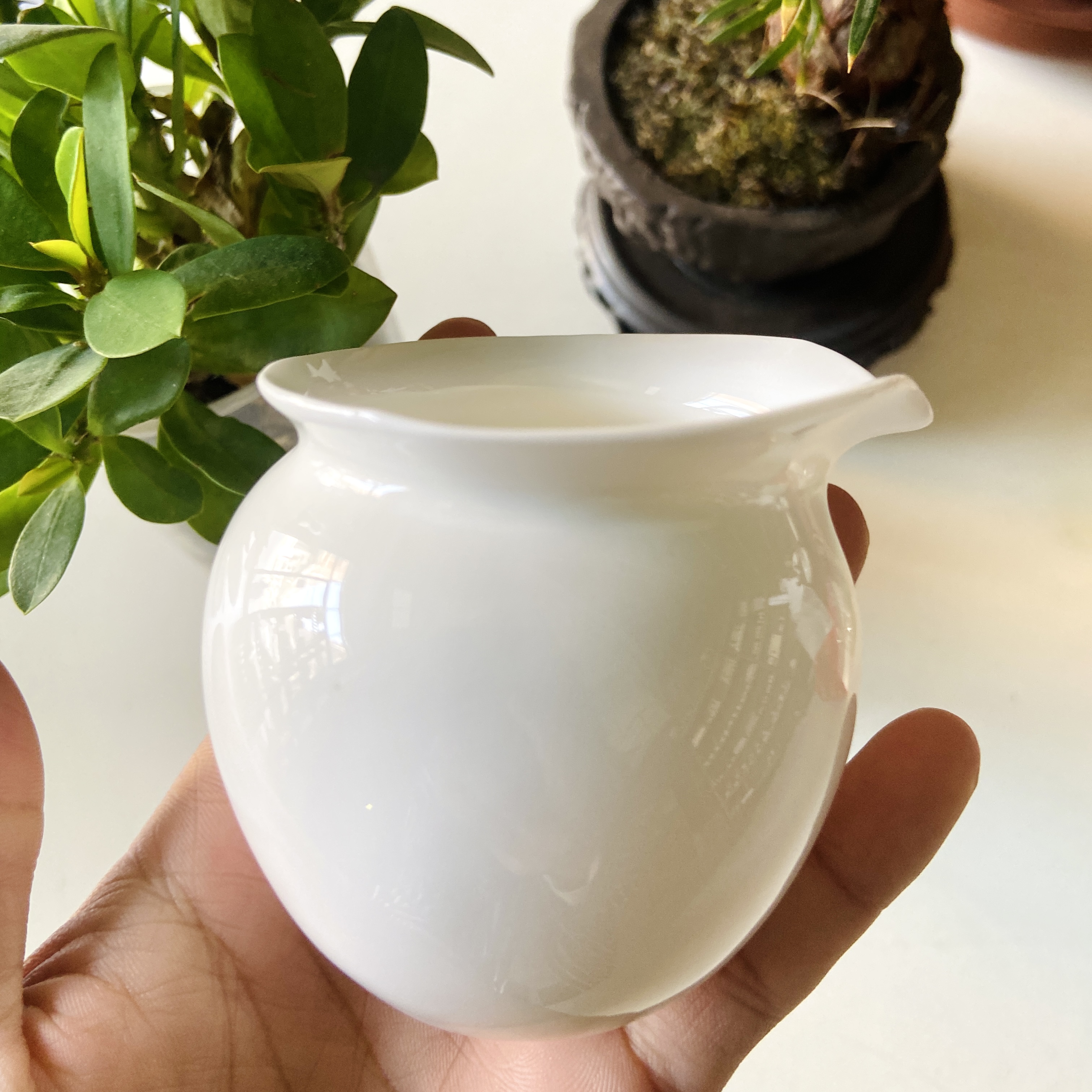 潮州功夫茶具骨瓷纯白公道杯分茶杯均杯公壶小号分茶器茶海