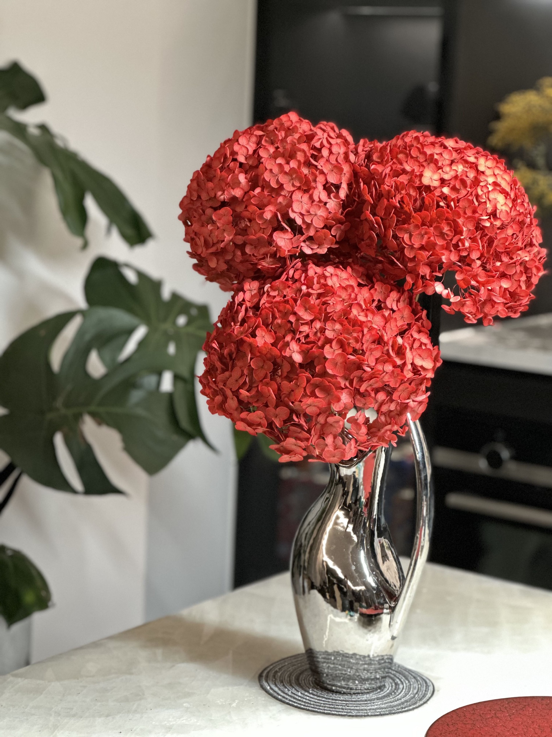 【挚简】高品质永生花配材【绣球】