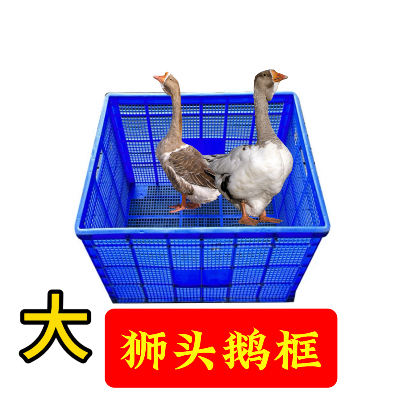 灰色【专用】大种狮头专用筐质量好特大号笼子顺丰包邮