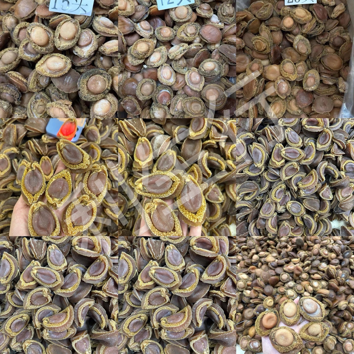 【利生行】各种即食海味改价链接（no退no换专用链接，慎拍）