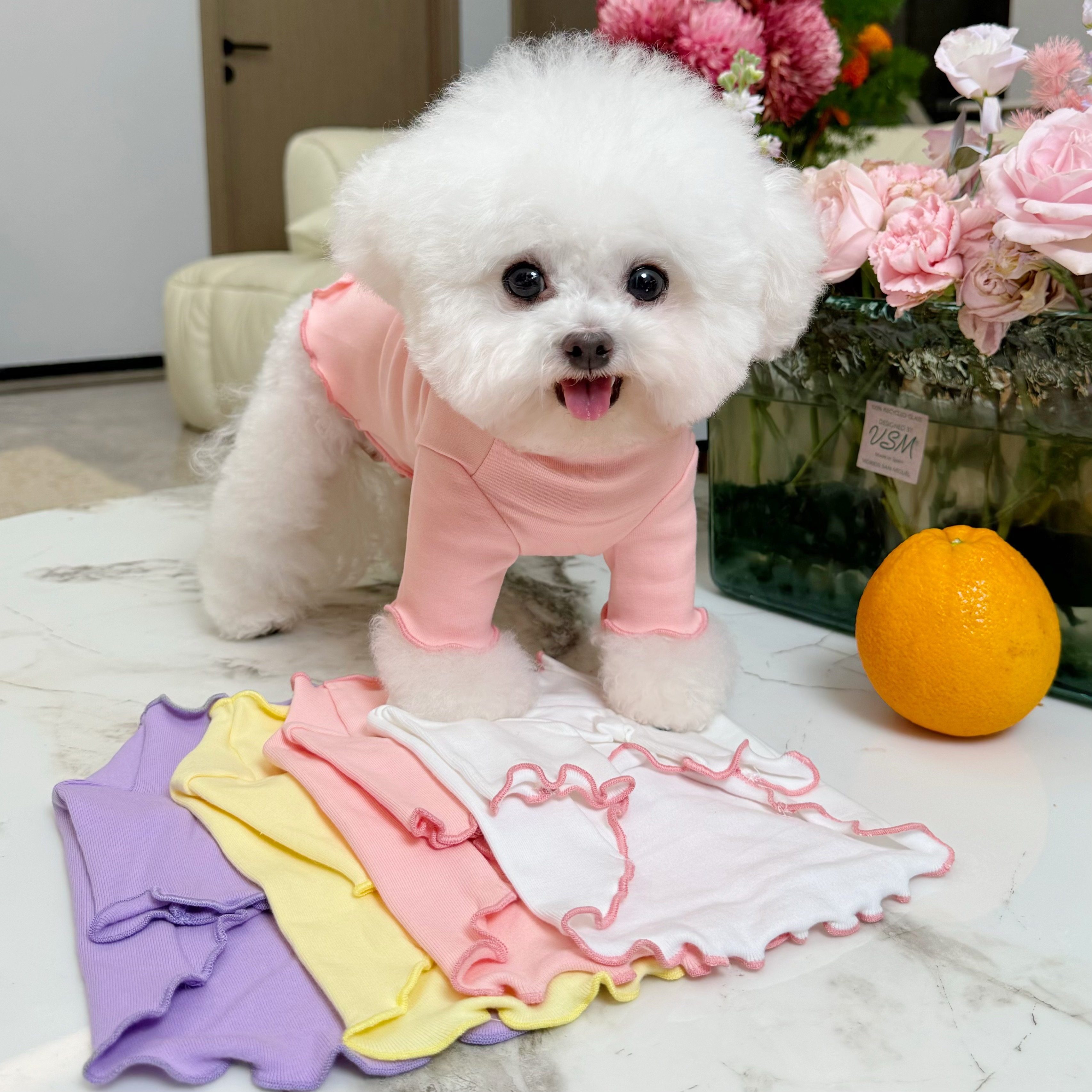 五只小白熊宠物衣服秋冬新款百搭基础打底衫狗狗猫咪内搭保暖衣服