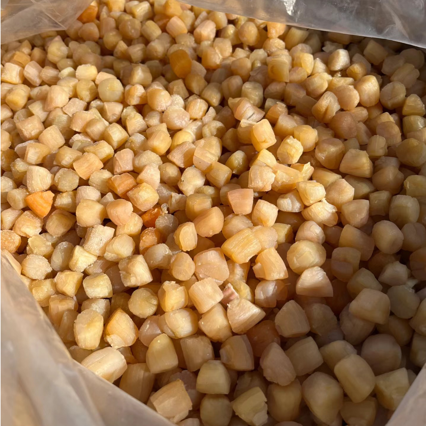 莆仙特产海鲜干货提鲜干贝煲汤熬粥必备海产品