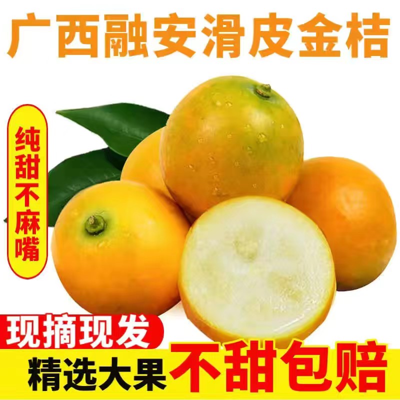 纯甜脆皮金桔5斤滑皮金桔新鲜水果【单果6g以上】带皮吃脆皮小金桔
