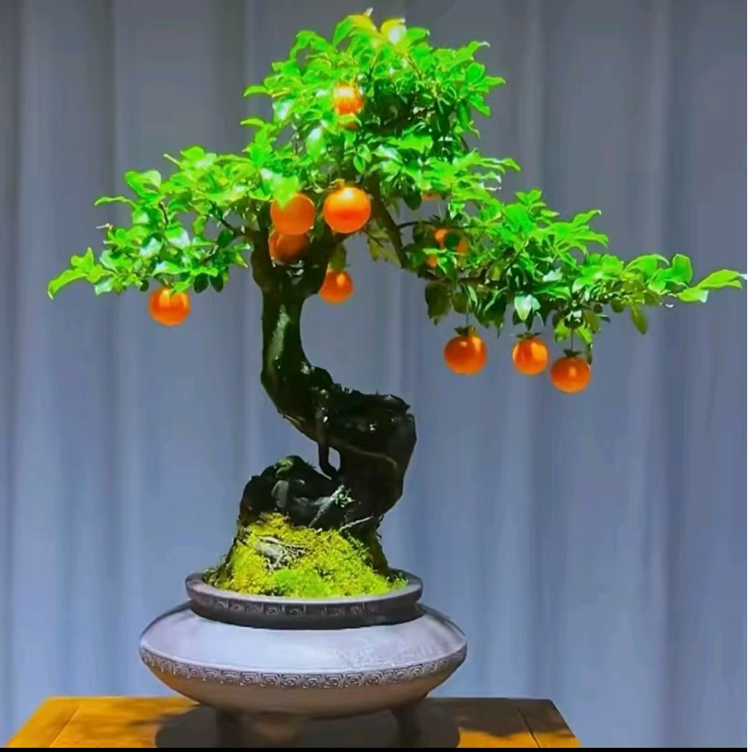 2金弹子（一物一拍）