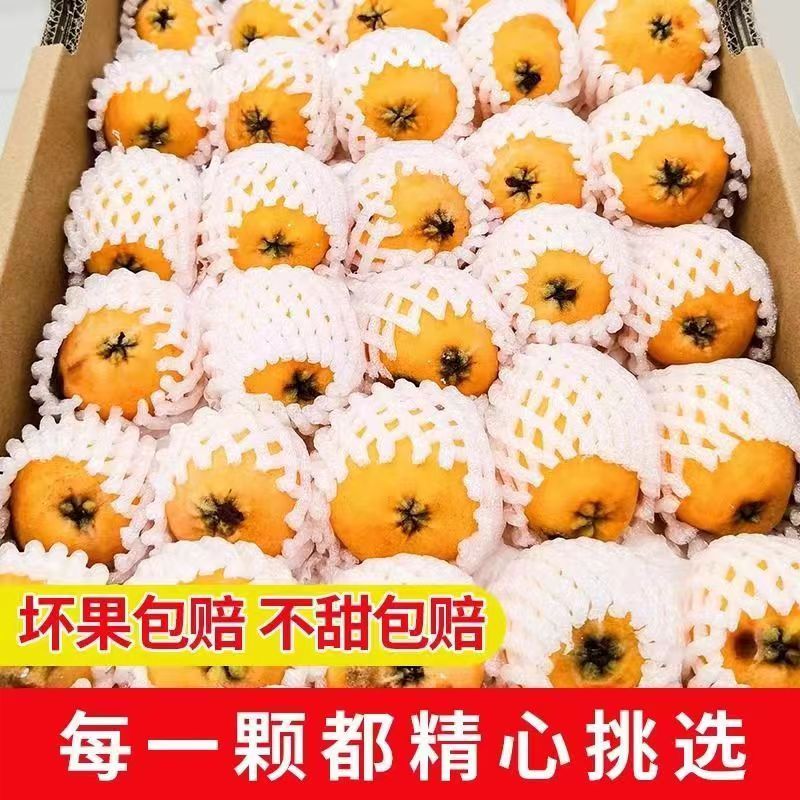 云南蒙自枇杷果鲜果5斤产地直发酸甜可口水润多汁琵琶果1斤