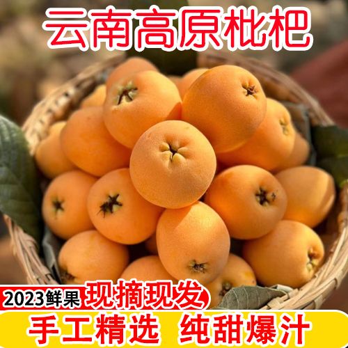 云南蒙自高原枇杷果5斤新鲜皮薄多汁酸甜口味当季水果产地直发1斤
