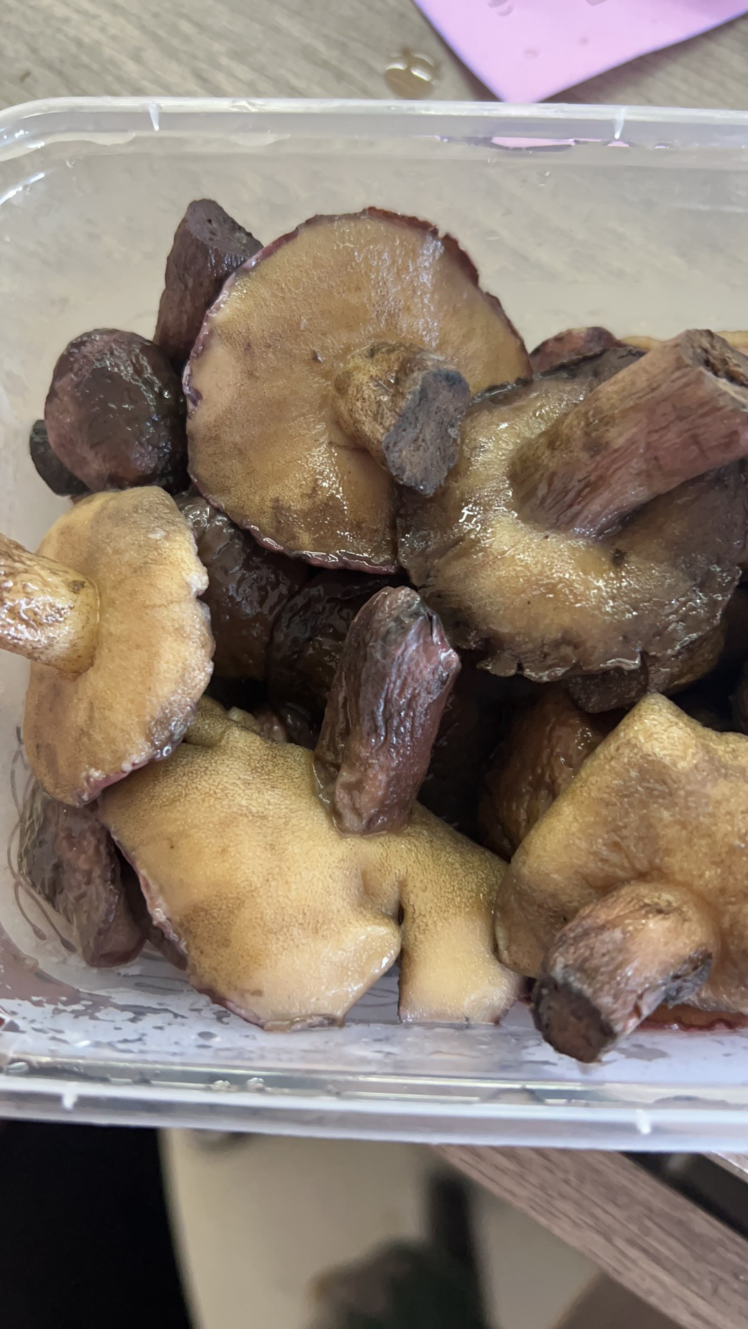 崂山菇也是鲜的粘鹅