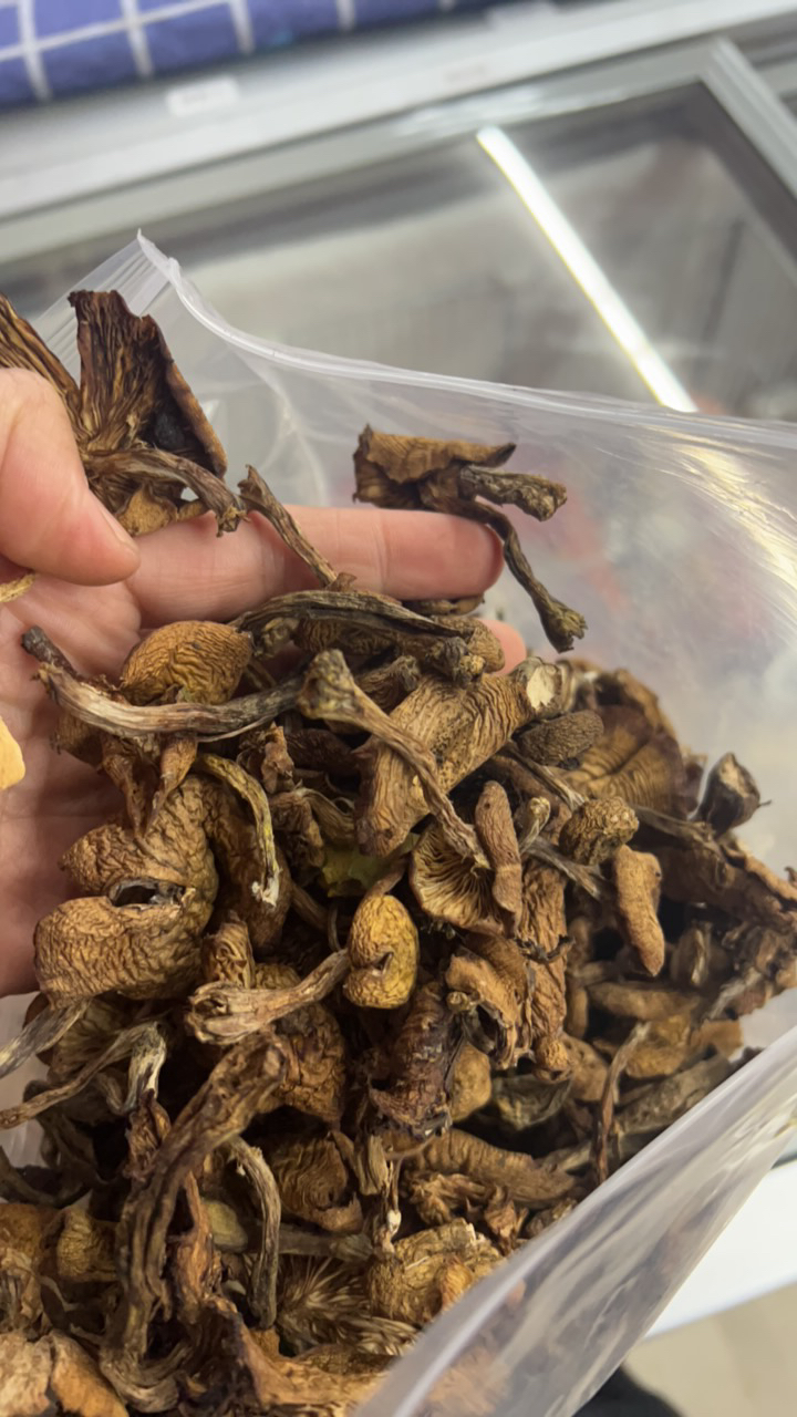 珍蘑纯干无水口感好