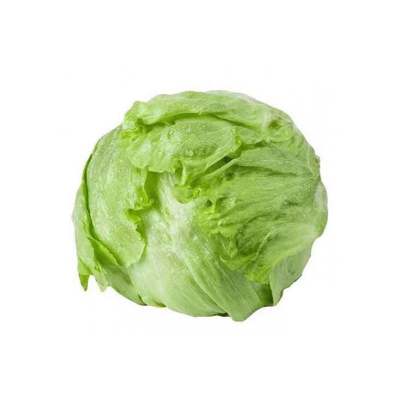 优选 圆生菜500g （西生菜）